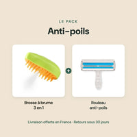 Pack Anti-poils : brosse à brume 3 en 1 et rouleau anti-poils
