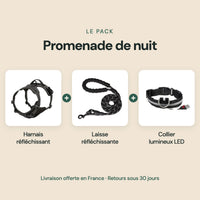 Pack Promenade de nuit : harnais réfléchissant, laisse réfléchissante et collier lumineux LED