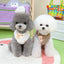 Pet Clothes Autumn Winter Plush Vest