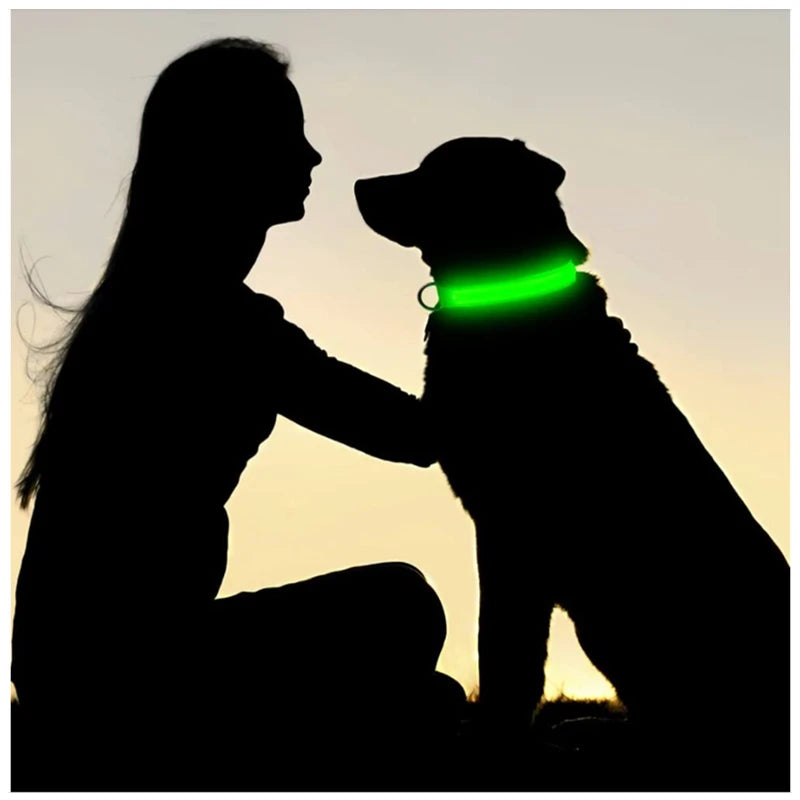 Collier lumineux LED rechargeable pour chien – vue 4