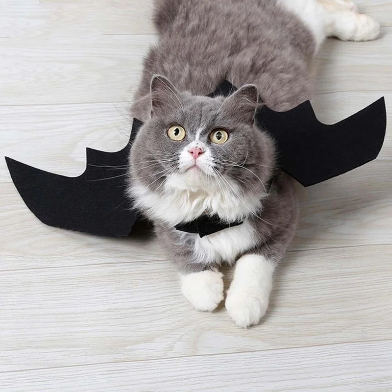 Chat gris et blanc couché portant des ailes de chauve-souris noires