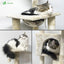 Cat Tree with Space Capsule and Scratching Post