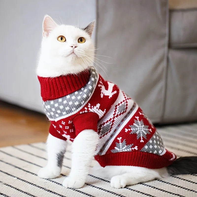 Chat blanc assis portant le pull de Noël jacquard rouge à manches courtes