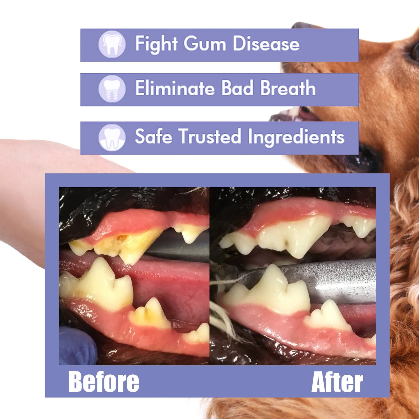 Dental Cleaning Spray Pets