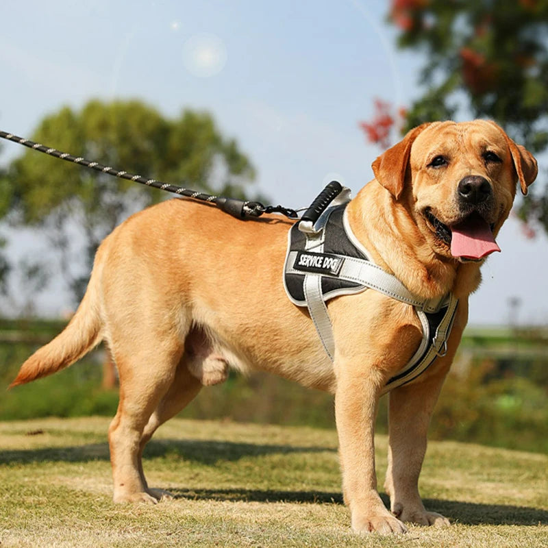 Dog Harness Vest