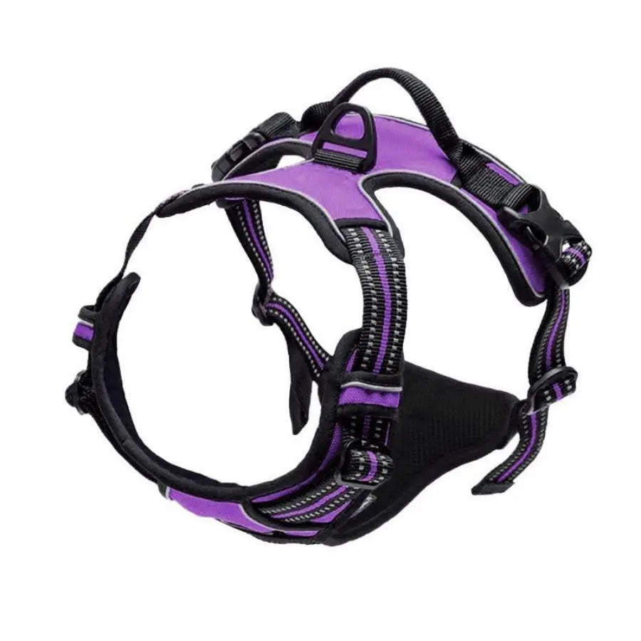 Harnais réfléchissant pour chien avec poignée, coloris violet