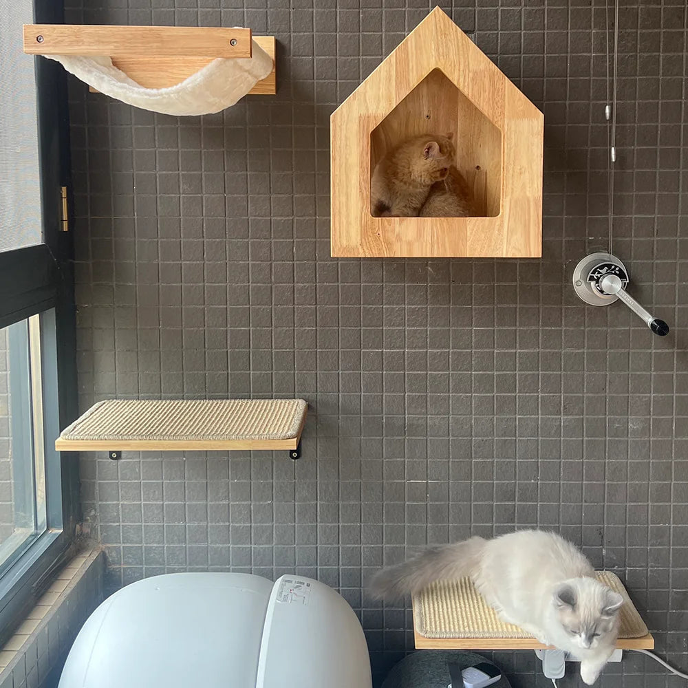 Wall Mounted Cat Climbing Shelves