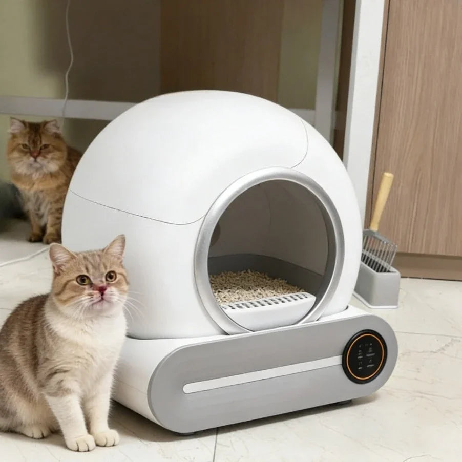Deux chats à côté de la litière automatique blanche