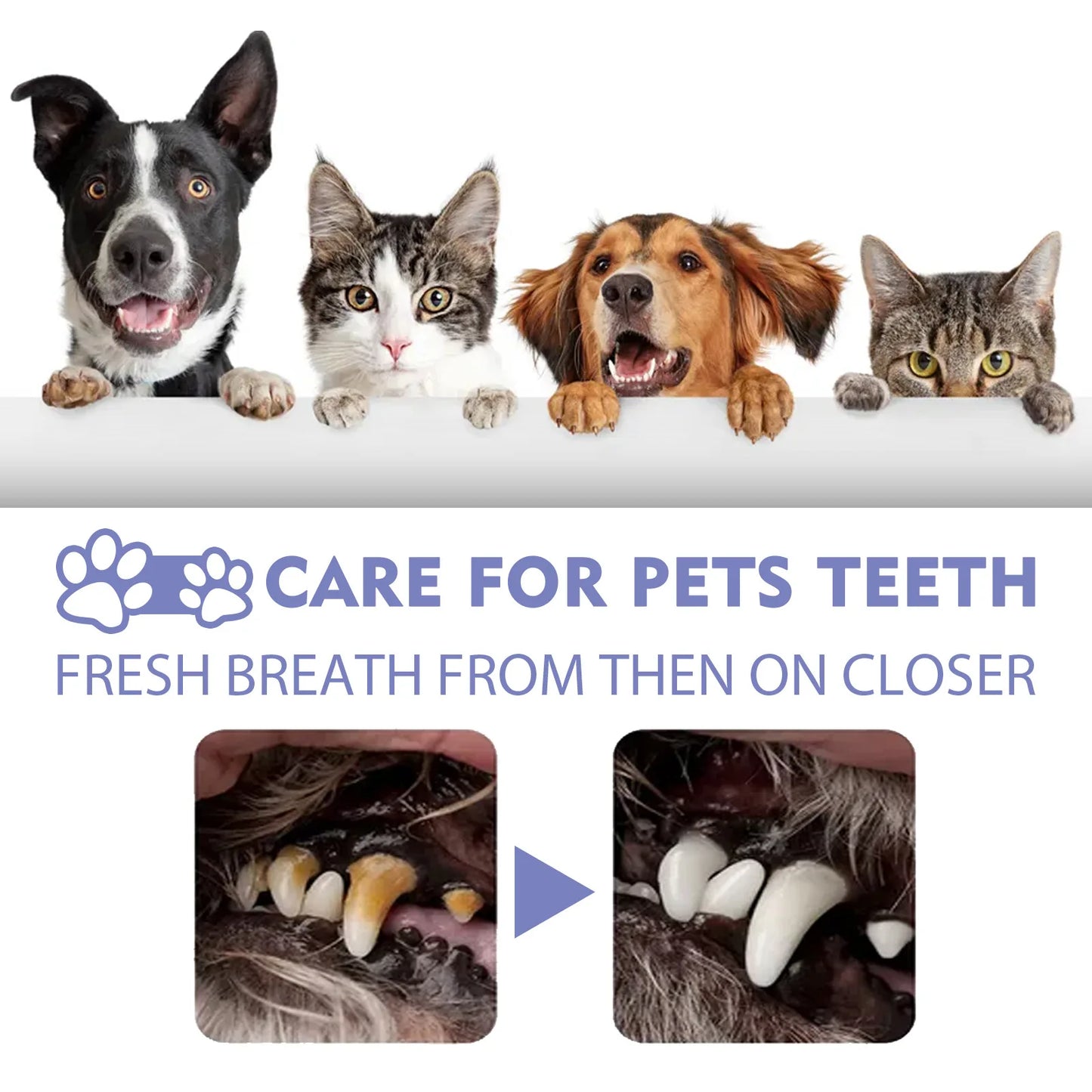 Dental Cleaning Spray Pets