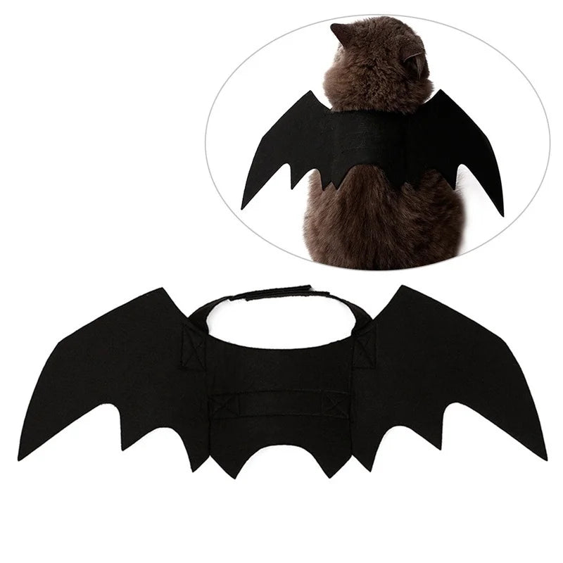 Ailes de chauve-souris en feutrine noire pour chat, à plat et portées