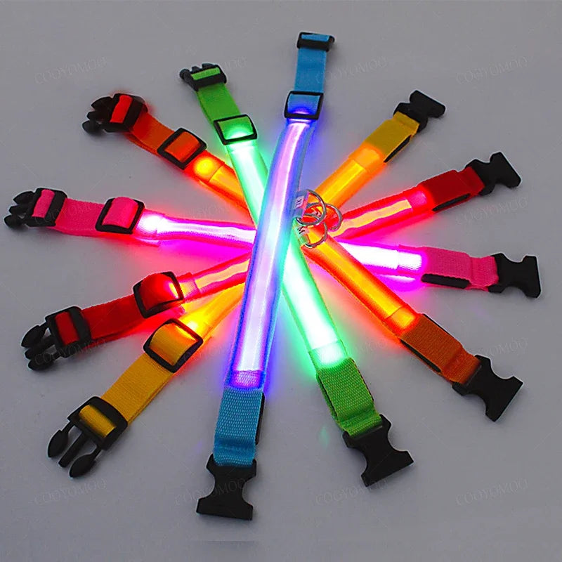 Collier lumineux LED rechargeable pour chien – vue 2