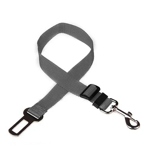 Attache de ceinture réglable pour chien, coloris gris