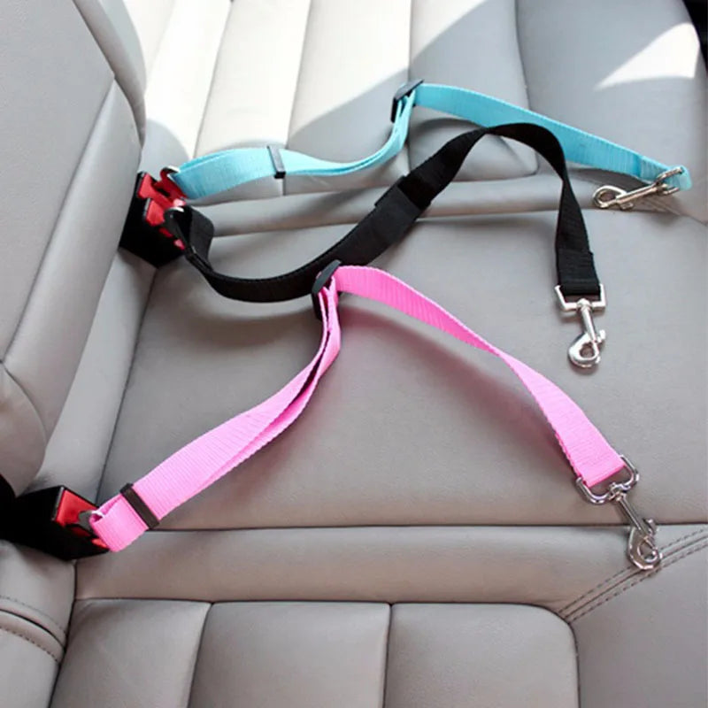 Attache de ceinture pour chien installée sur la banquette arrière