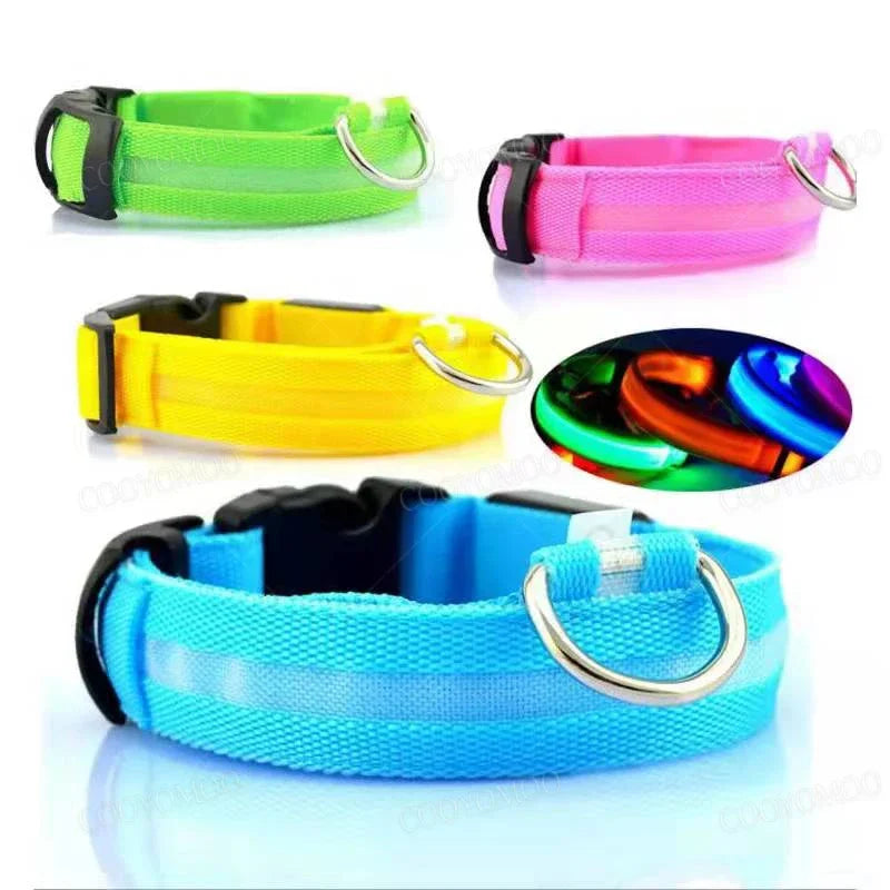 Collier lumineux LED rechargeable pour chien – vue 3