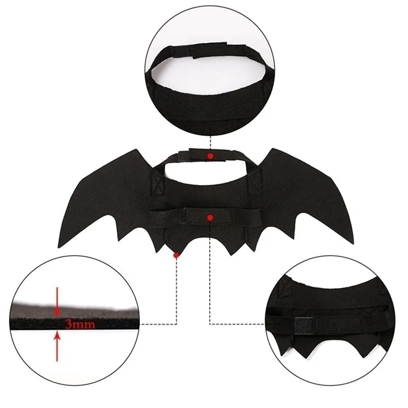 Détails des ailes de chauve-souris : feutrine de 3 mm, attaches auto-agrippantes au cou et au poitrail