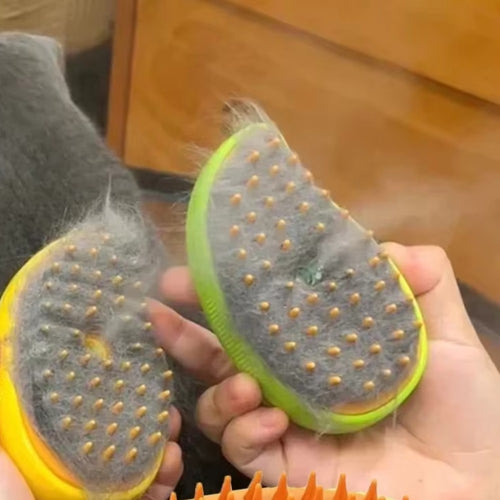 Brosse à brume remplie de poils après un brossage de chat