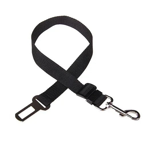 Attache de ceinture réglable pour chien, coloris noir
