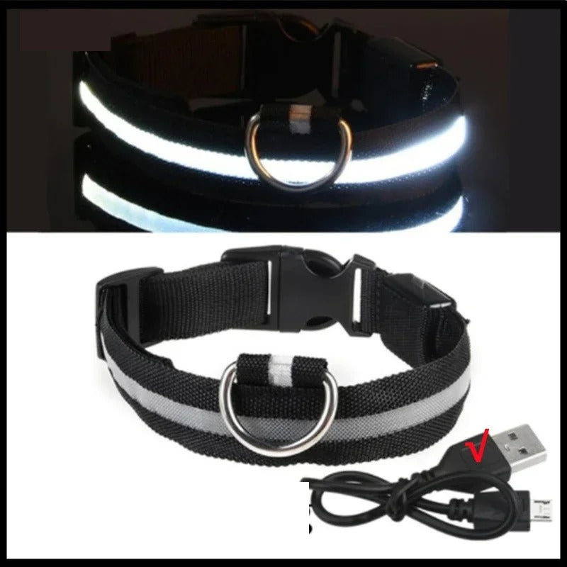 Collier lumineux LED rechargeable pour chien, coloris noir