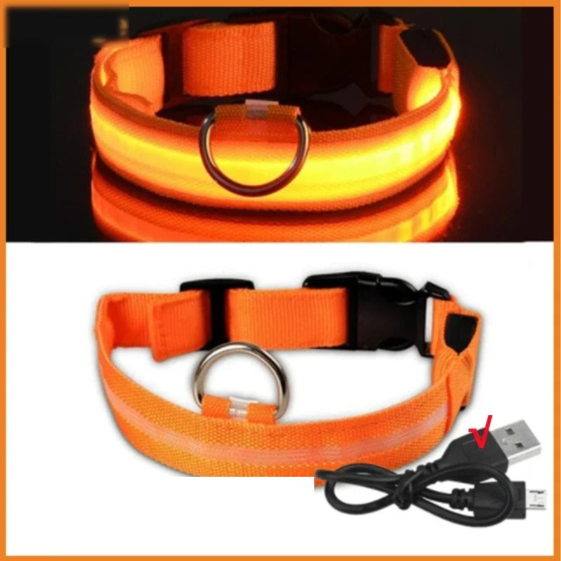 Collier lumineux LED rechargeable pour chien, coloris orange