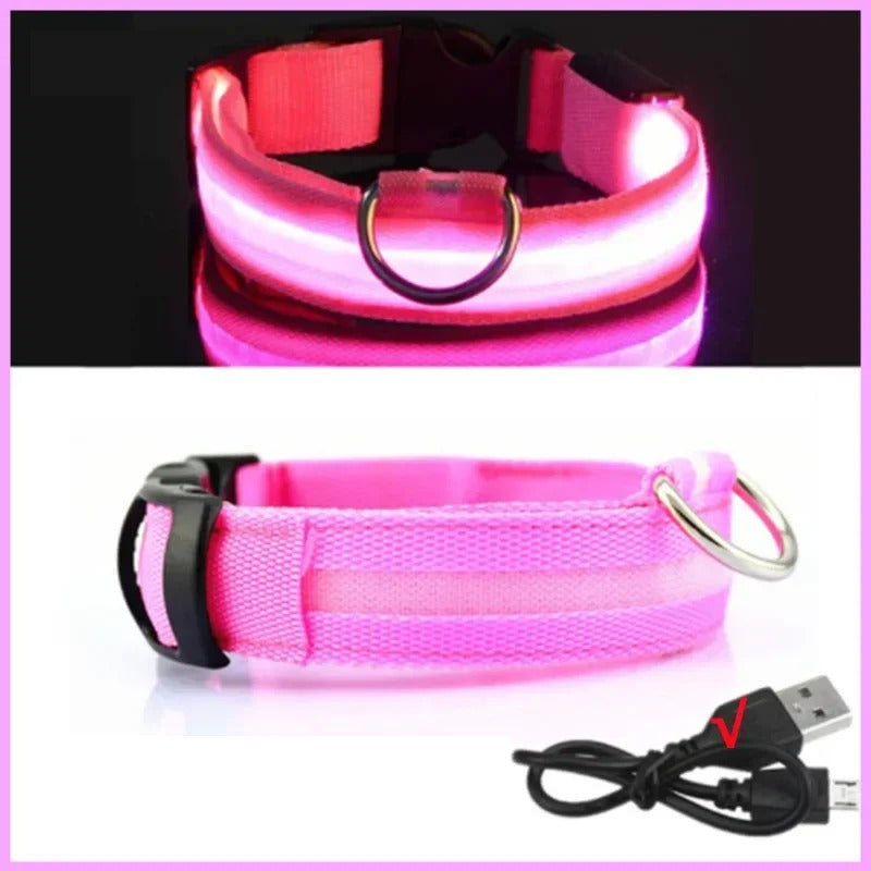 Collier lumineux LED rechargeable pour chien, coloris rose