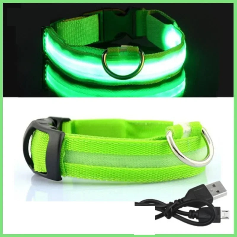 Collier lumineux LED rechargeable pour chien, coloris vert