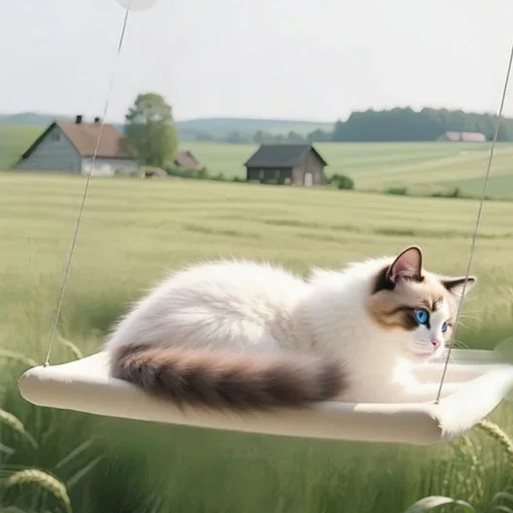 Chat allongé sur un hamac de fenêtre coloris sable fixé par ventouses