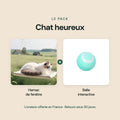 Pack Chat heureux : hamac de fenêtre et balle interactive