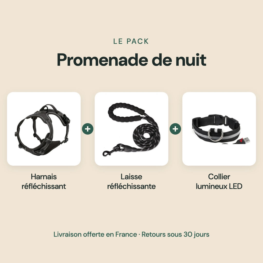 Pack Promenade de nuit : harnais réfléchissant, laisse réfléchissante et collier lumineux LED