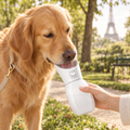 Golden retriever buvant à la gourde de promenade blanche dans un parc parisien