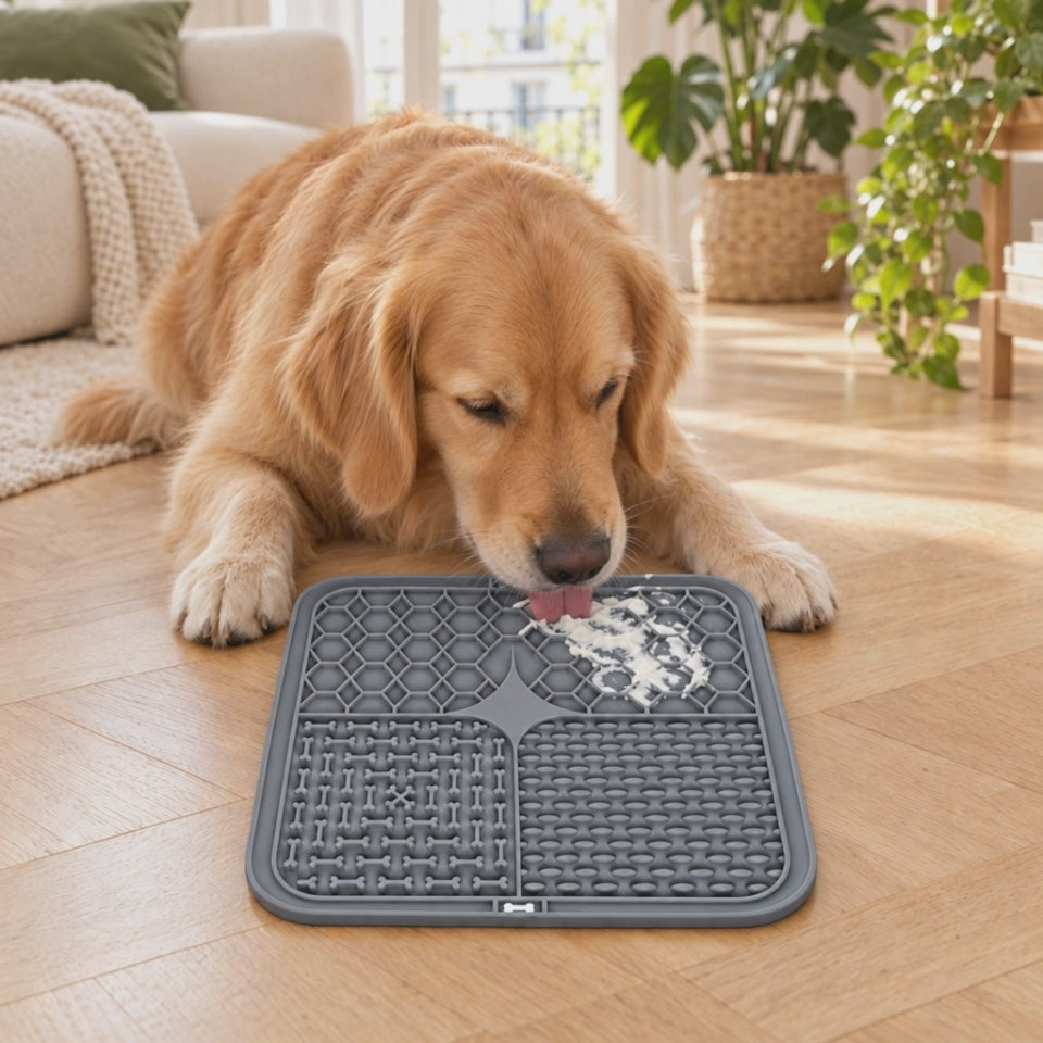 Vidéo d'un golden retriever léchant le tapis en silicone gris garni de pâtée, posé sur le parquet